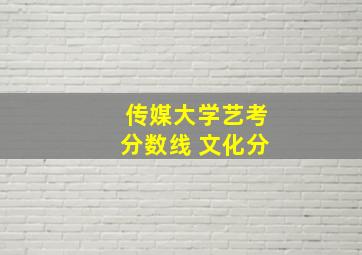 传媒大学艺考分数线 文化分